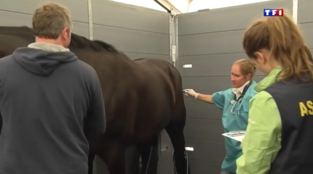 Le docteur vétérinaire Barbara BUISSON